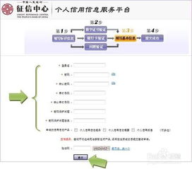 互聯(lián)網(wǎng)時代的個人信用信息查詢與信息咨詢服務(wù)